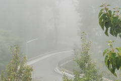 04-Xiaolyli-wilding-Road-2-1