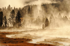 05-SimonWu_Yellowstone_1