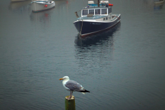 14-Jim-Mei-IMG_9843-1_resize