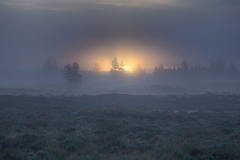 18-YuanwenLiu_FogSunrise__2