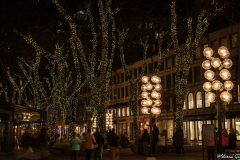 07-Sheena-Gu-HolidayQuincyMkSheena