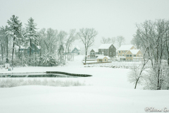 08-Sheena-Gu_WinterRegencySheena