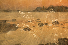 20-Hong-Xu_Island-Memmory-_1