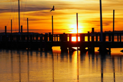 2018最後一天日出