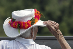 285HuiWang_2018_鹤发童心