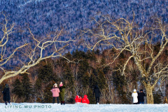 03-Liying-Wu-F33F1A5D-92E0-48B6-94D4-48C3A0D5E3E0