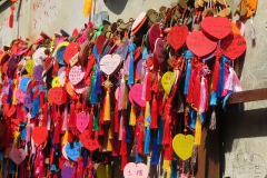 09-Peng-Li-Peng_Li_2