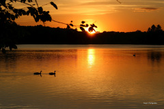 10-Peng-Li-Peng_Li_1