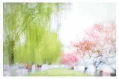 11-竞跃-潘-9010F985-3892-4A7F-8832-586A22A0FE6C