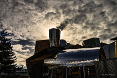 19-Yan-Johnson-C3F7A1D0-49A5-48CD-8622-DA758074CFDD