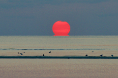 01_FullSizeRender_LeMin