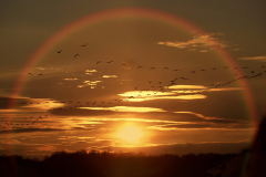 11_Sunset_DonglingSu