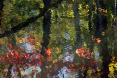 19-34.Appreciate-Nature