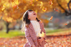 85_Joyful-Leaves_Yuanwen-Liu