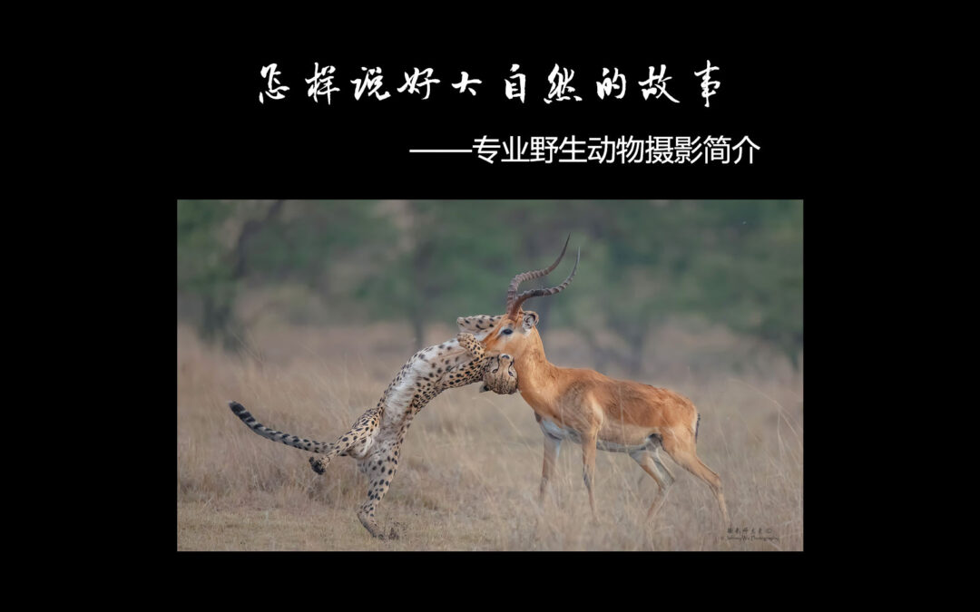 2021年六月讲座: 怎样说好大自然的故事