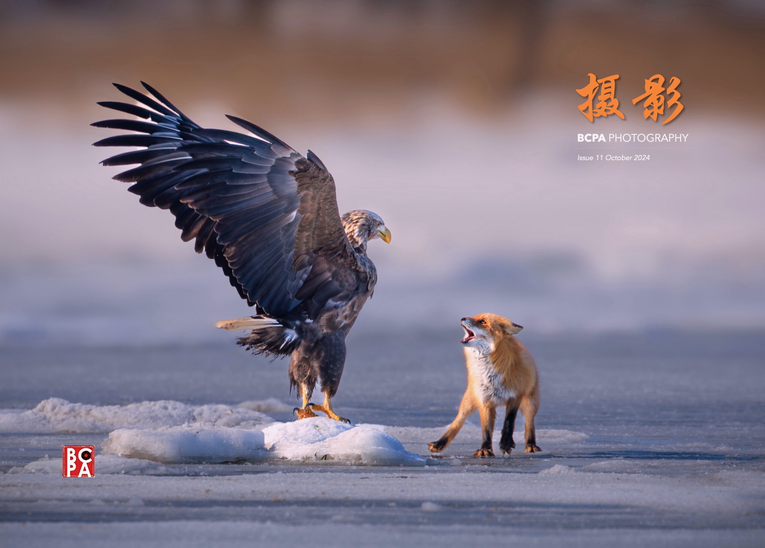 Library - 1 of 1 (1)