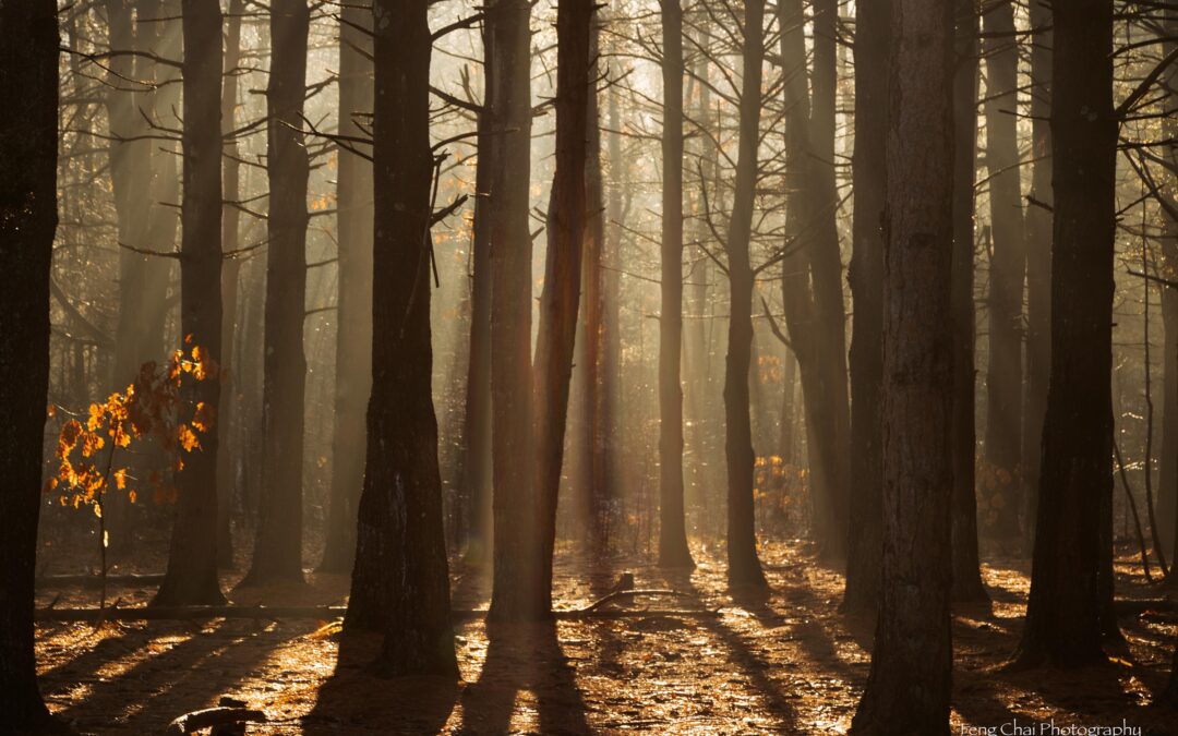 2025年一周一主題第一季度