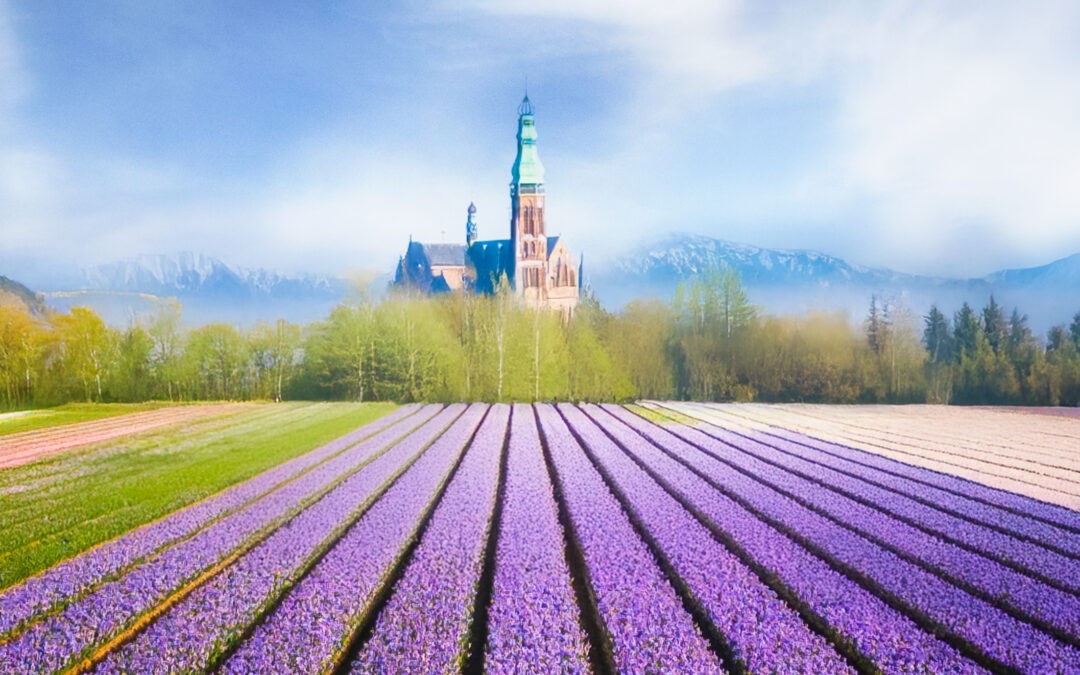 2025年一周一主題第二季度