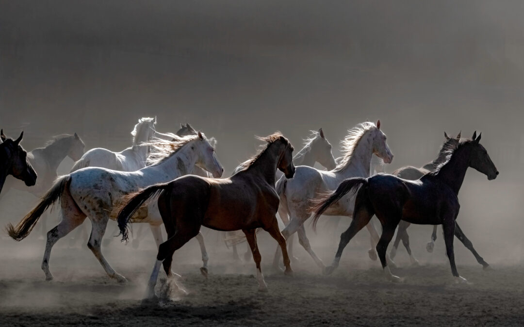 2025年一周一主題第四季度