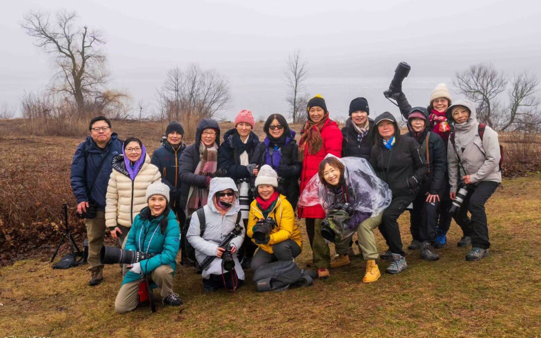 BCPA每月一拍3月份宾州雪雁迁徙外拍活动报告