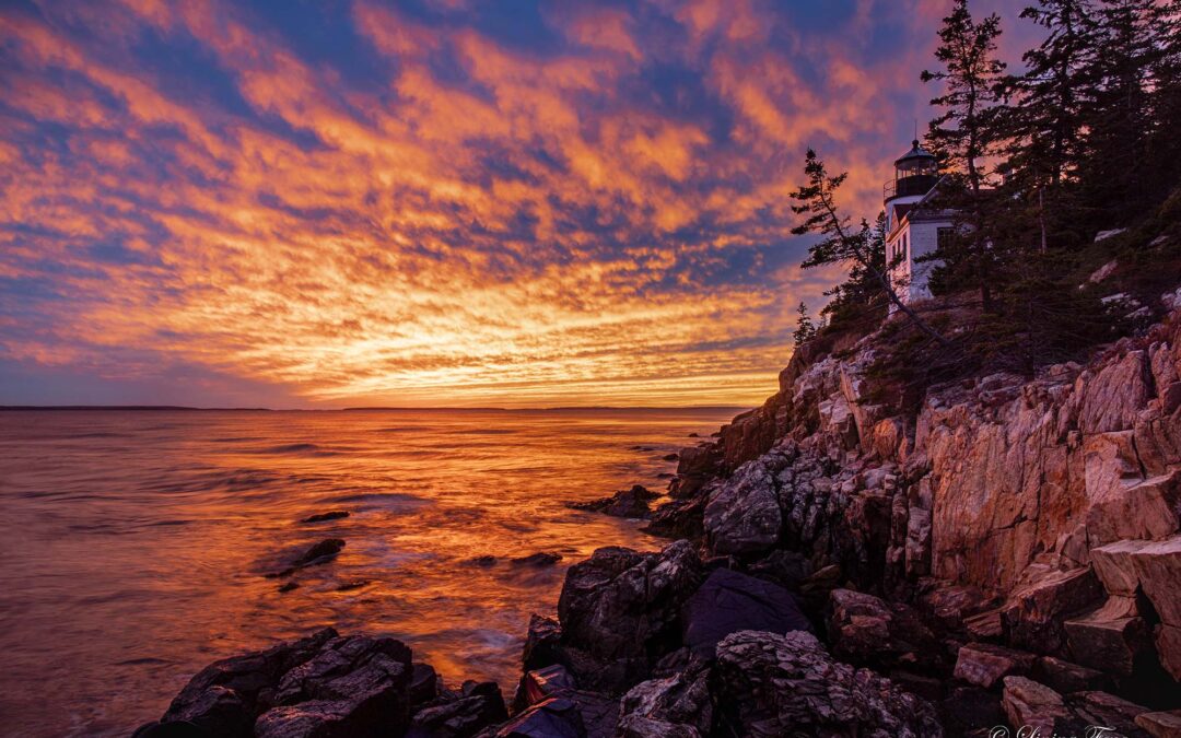 2026 五月 Acadia 風光攝影